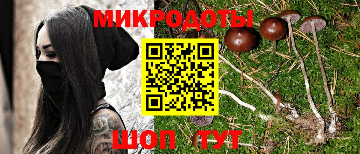 Псилоцибиновые грибы Cubensis  Вход с VPN  Камышин 